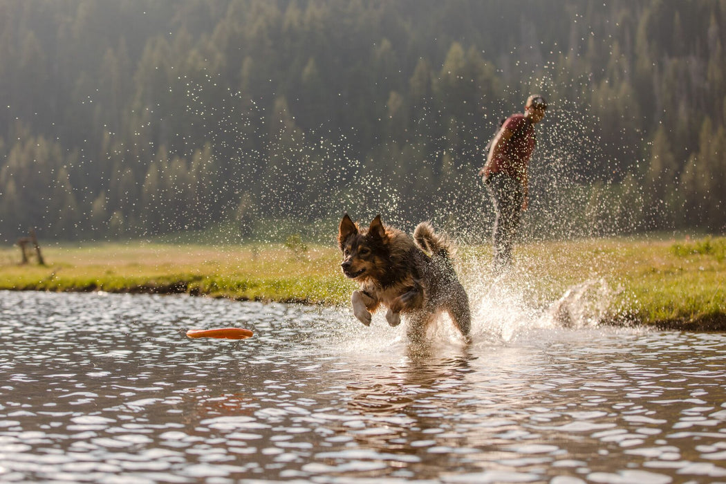 Hydro Plane Spielzeug von RUFFWEAR