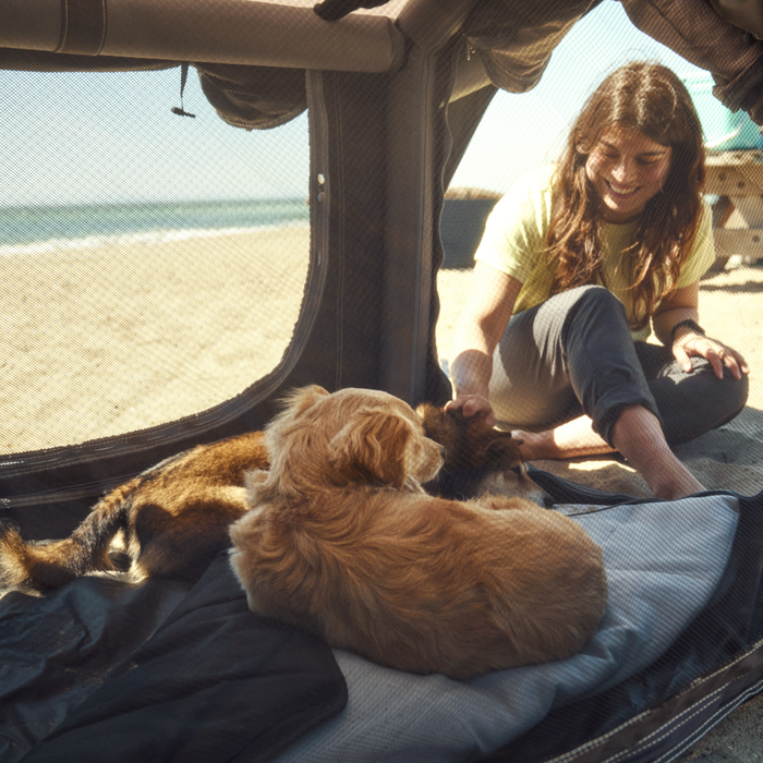 Caisse gonflable pour chiens