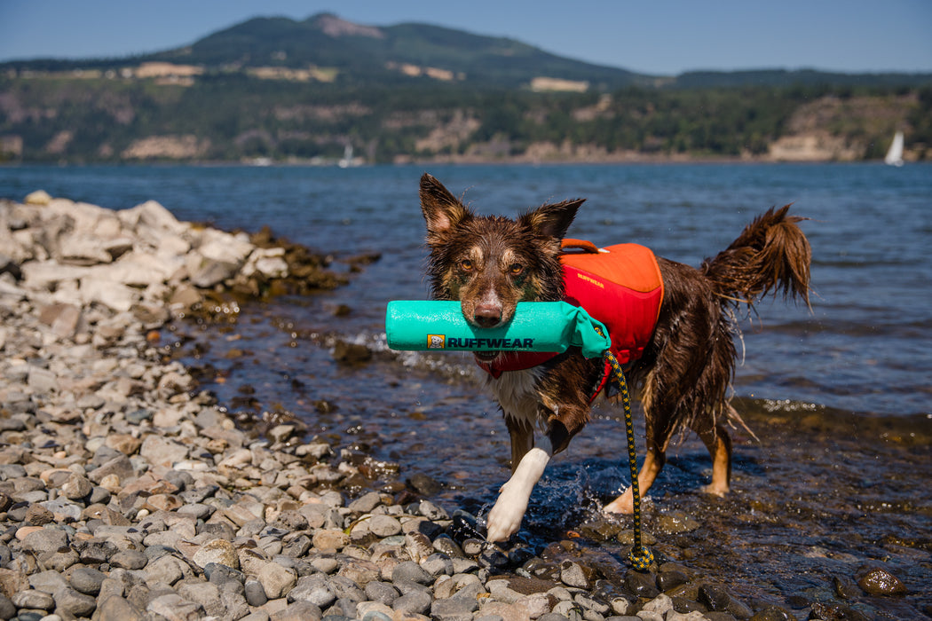 Floating Throwing Toy Blowholes™ by RUFFWEAR