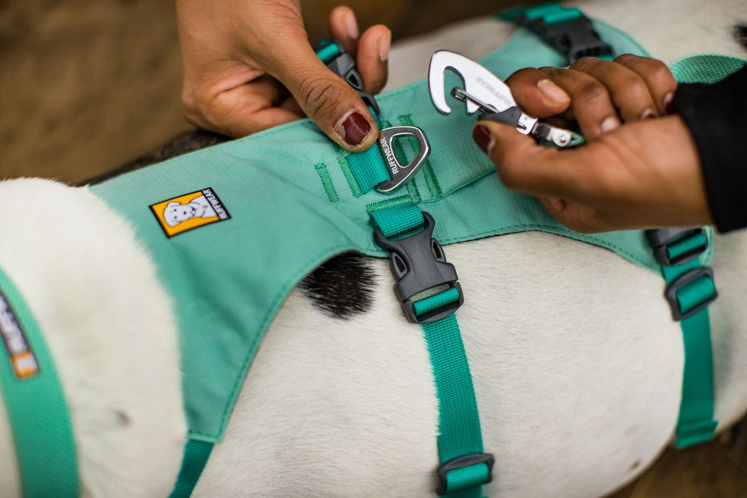 Dog Harness with Handle Flagline™ by RUFFWEAR