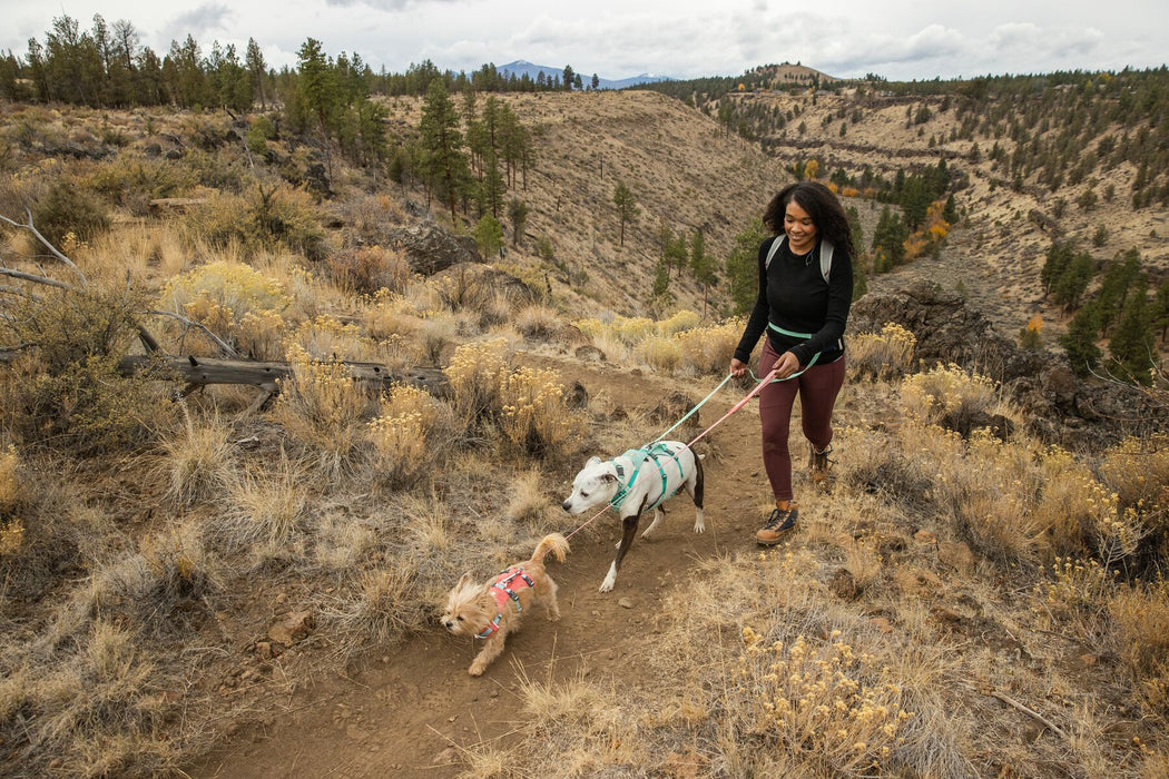 Dog Harness with Handle Flagline™ by RUFFWEAR