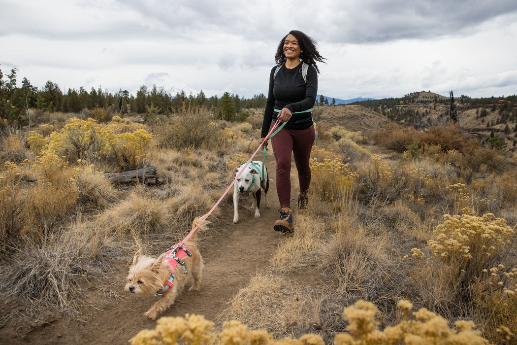 Dog Harness with Handle Flagline™ by RUFFWEAR