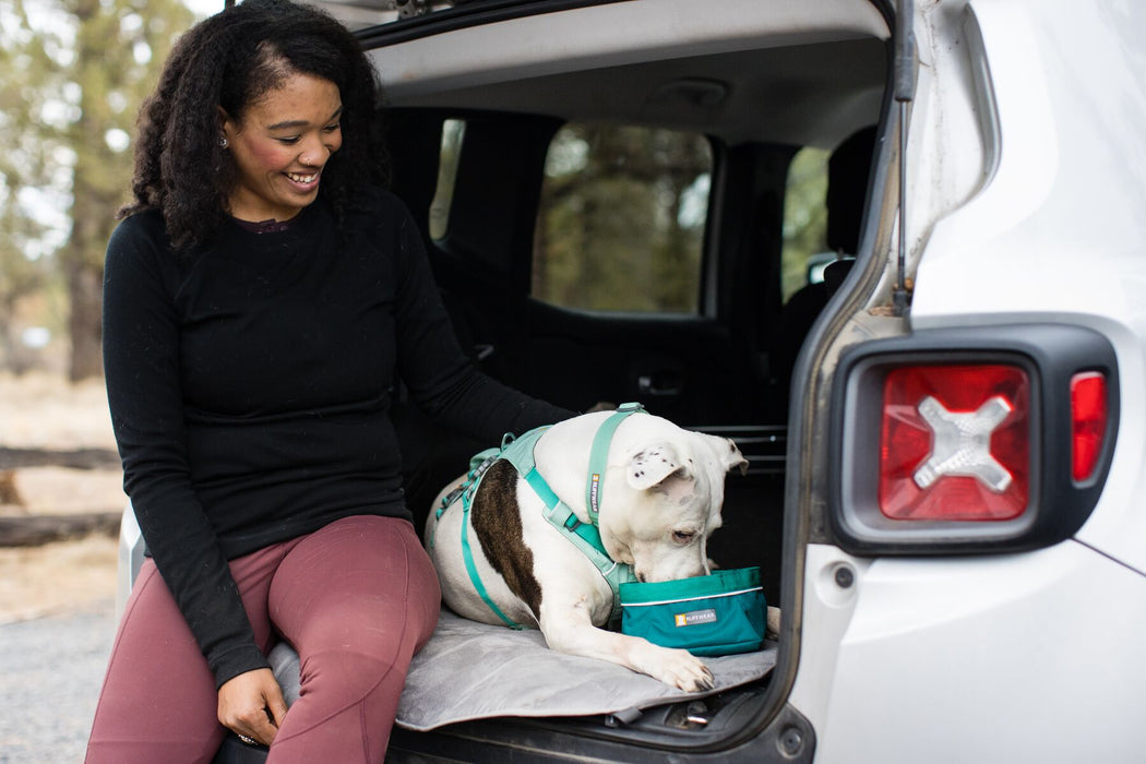 Dog Harness with Handle Flagline™ by RUFFWEAR