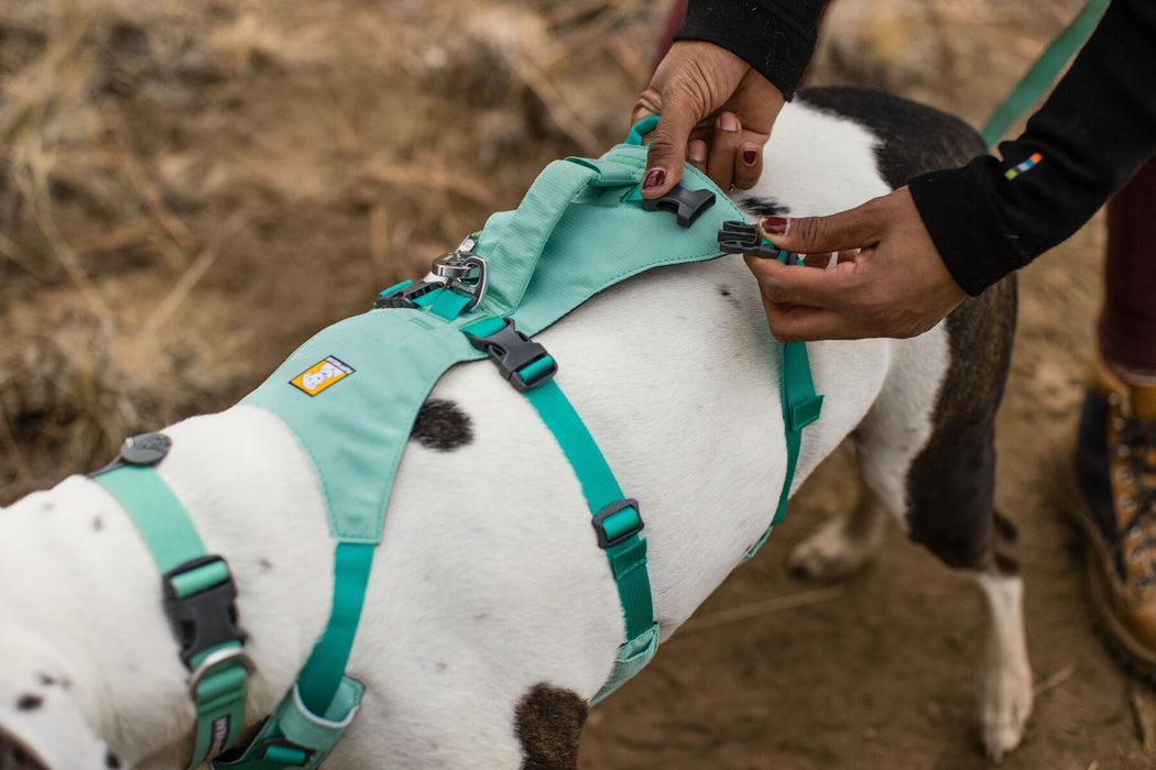 Harnais pour chien avec poignée Flagline™ de RUFFWEAR