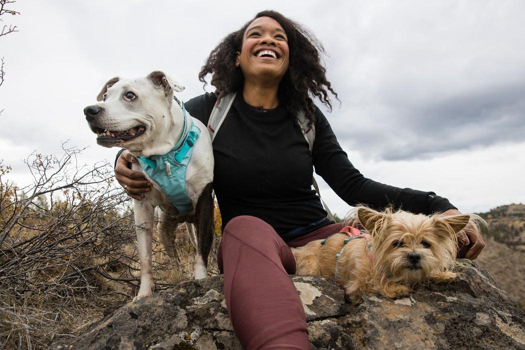 Harnais pour chien avec poignée Flagline™ de RUFFWEAR