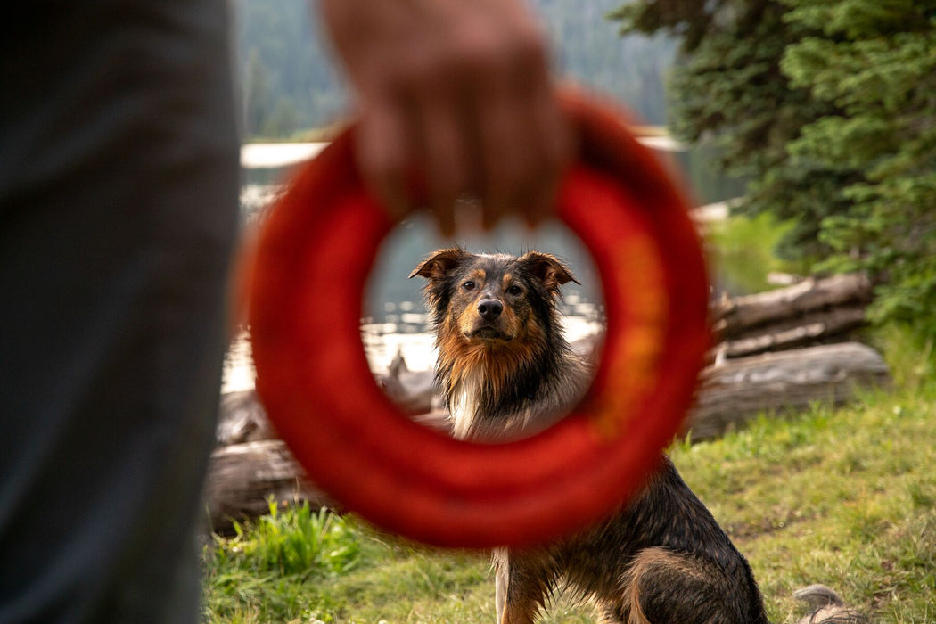 Jouets Hydro Plane de RUFFWEAR