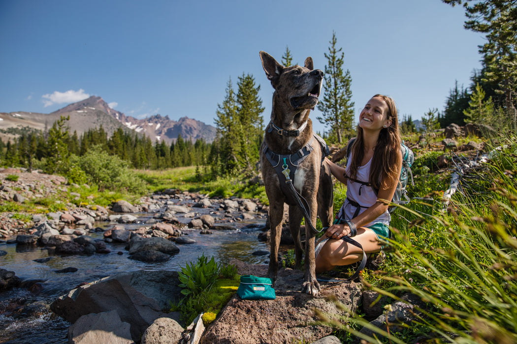 Ciotola per cani per gli spostamenti Quencher™ di RUFFWEAR